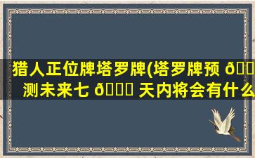猎人正位牌塔罗牌(塔罗牌预 🐈 测未来七 🕊 天内将会有什么好事)